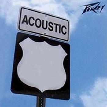 Peavey acoustic guitar strings