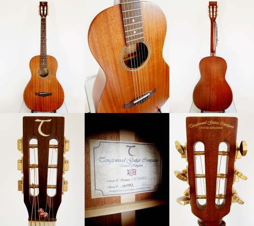 Tanglewood Premier TW133 2010