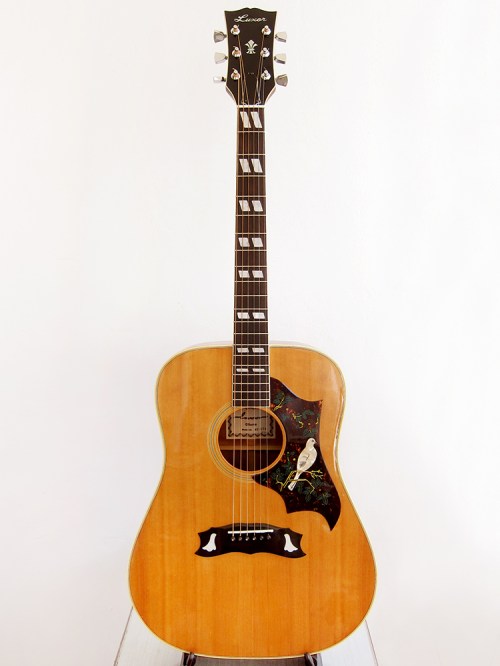 Luxor 42-274, Dove copy made in Japan by Ibanez 1970's 