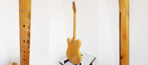Greco TE-800 , Made in Japan, FujiGen 1981