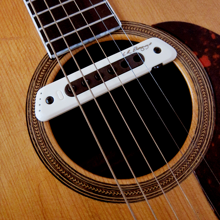 LR Baggs M80 installed in a 1968 Levin LT-18